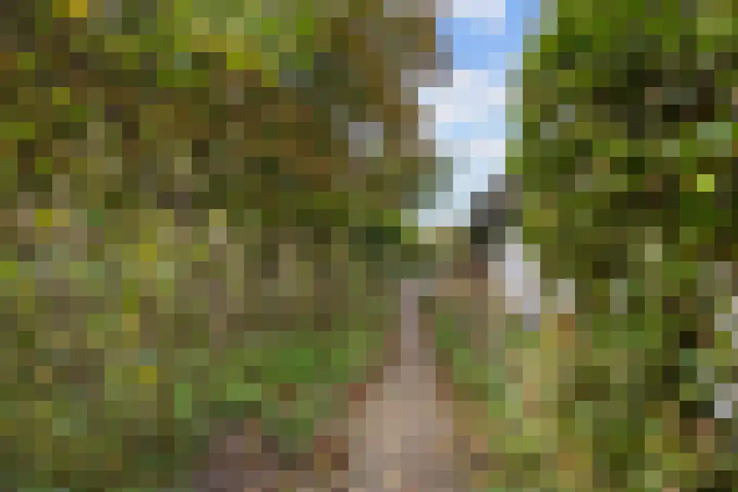 Pierswijk 6 Marum thumbnail 32