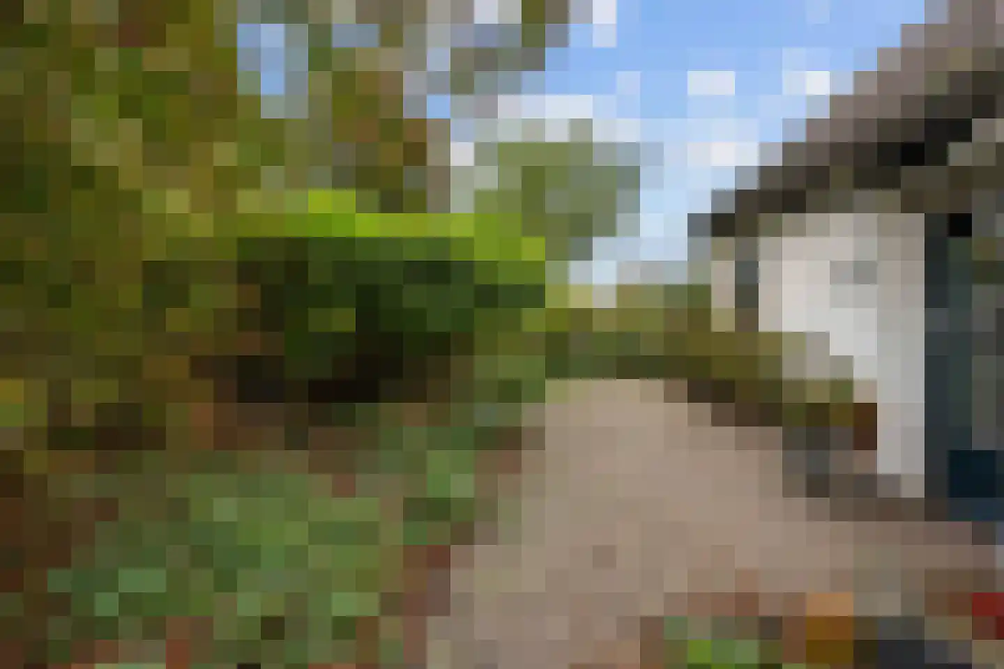 Pierswijk 6 Marum thumbnail 33