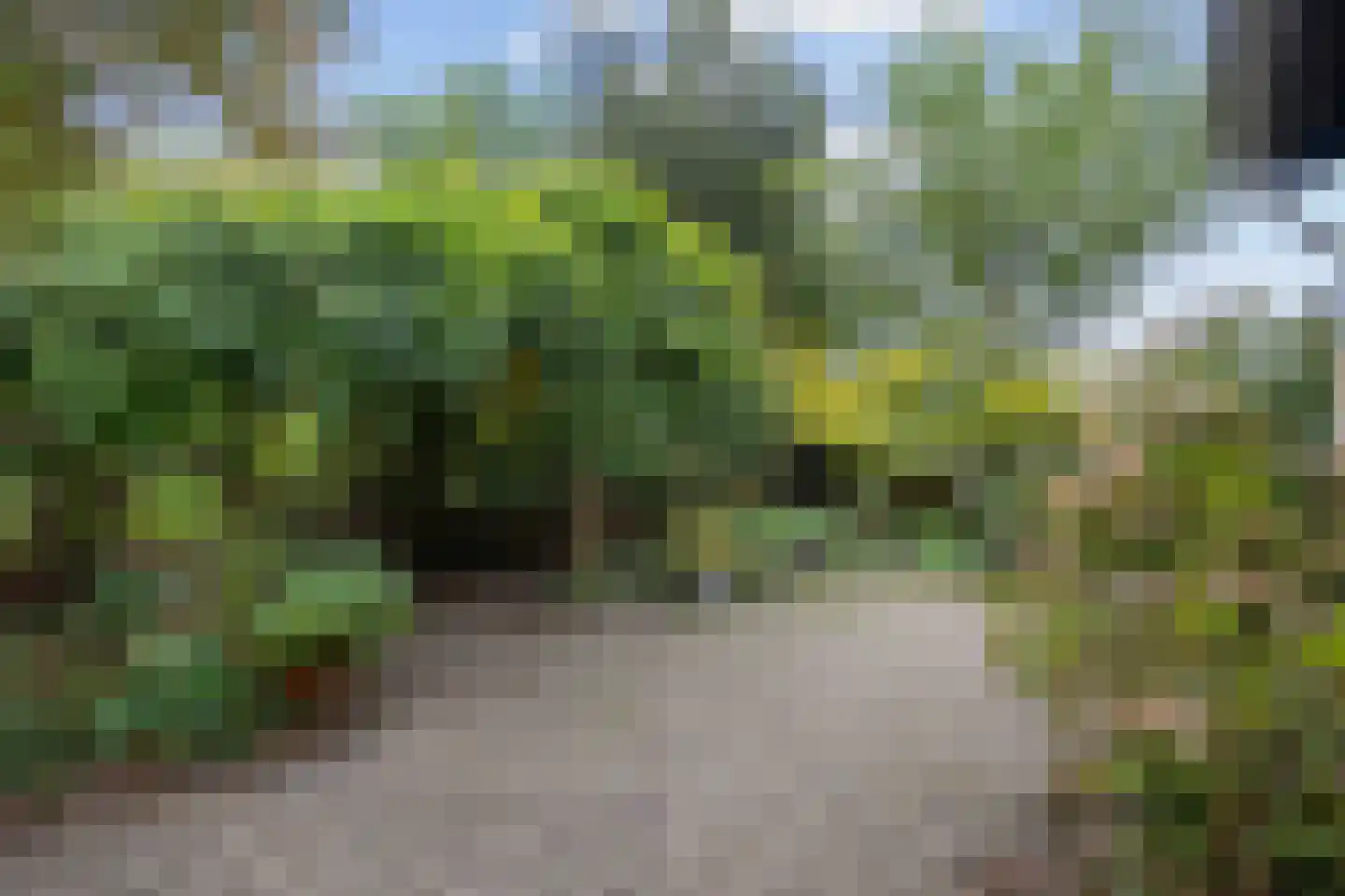 Pierswijk 6 Marum thumbnail 34
