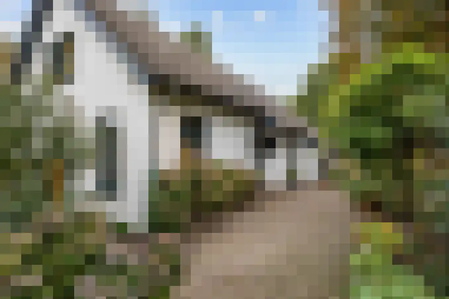 Pierswijk 6 Marum thumbnail 35