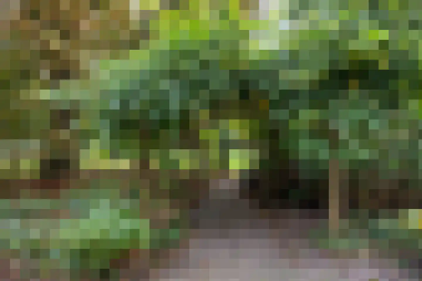 Pierswijk 6 Marum thumbnail 36