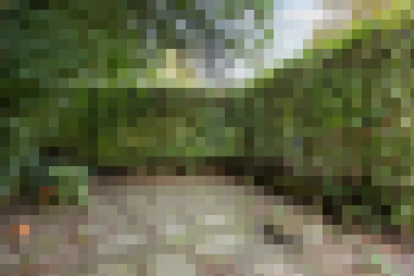 Pierswijk 6 Marum thumbnail 37
