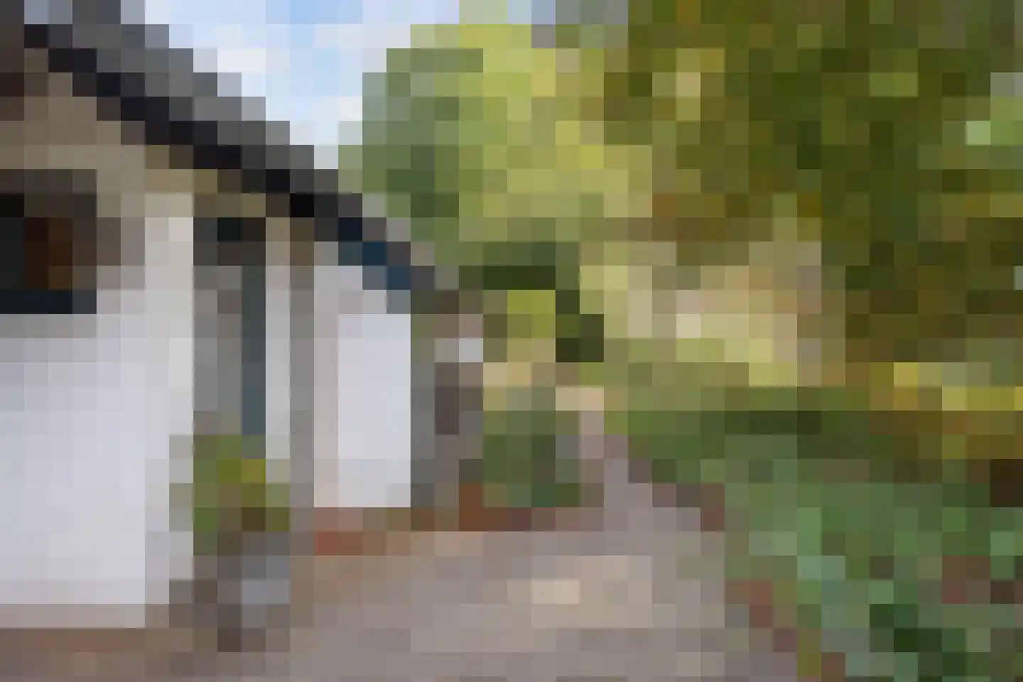 Pierswijk 6 Marum thumbnail 39