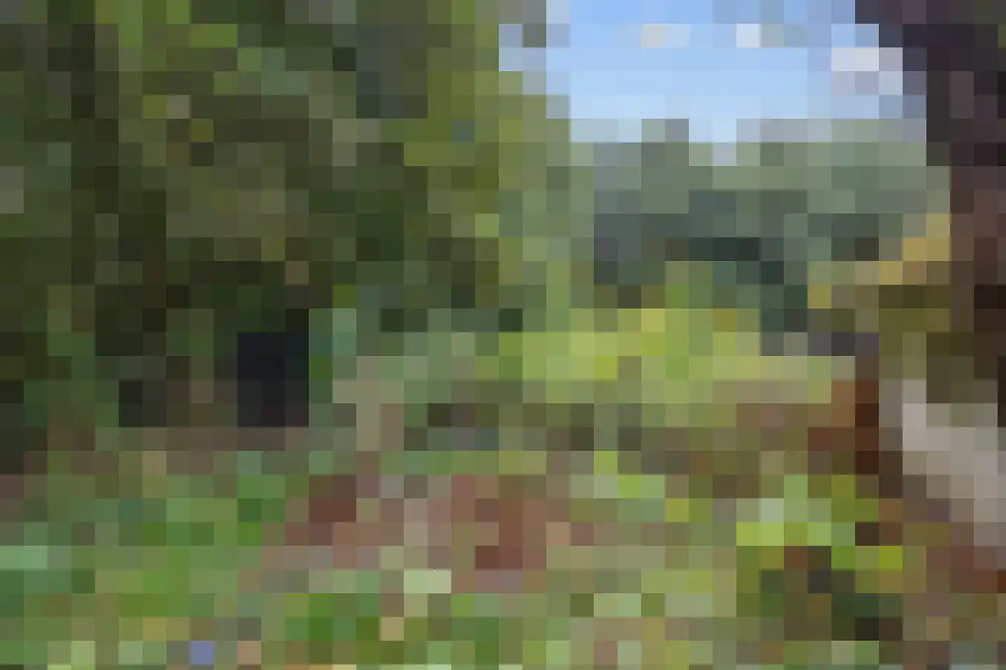 Pierswijk 6 Marum thumbnail 42
