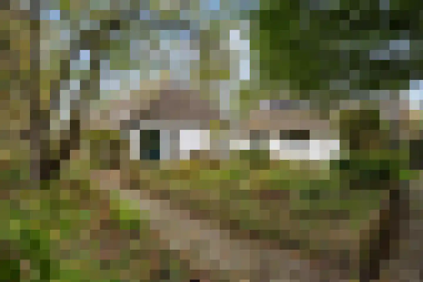 Pierswijk 6 Marum thumbnail 43