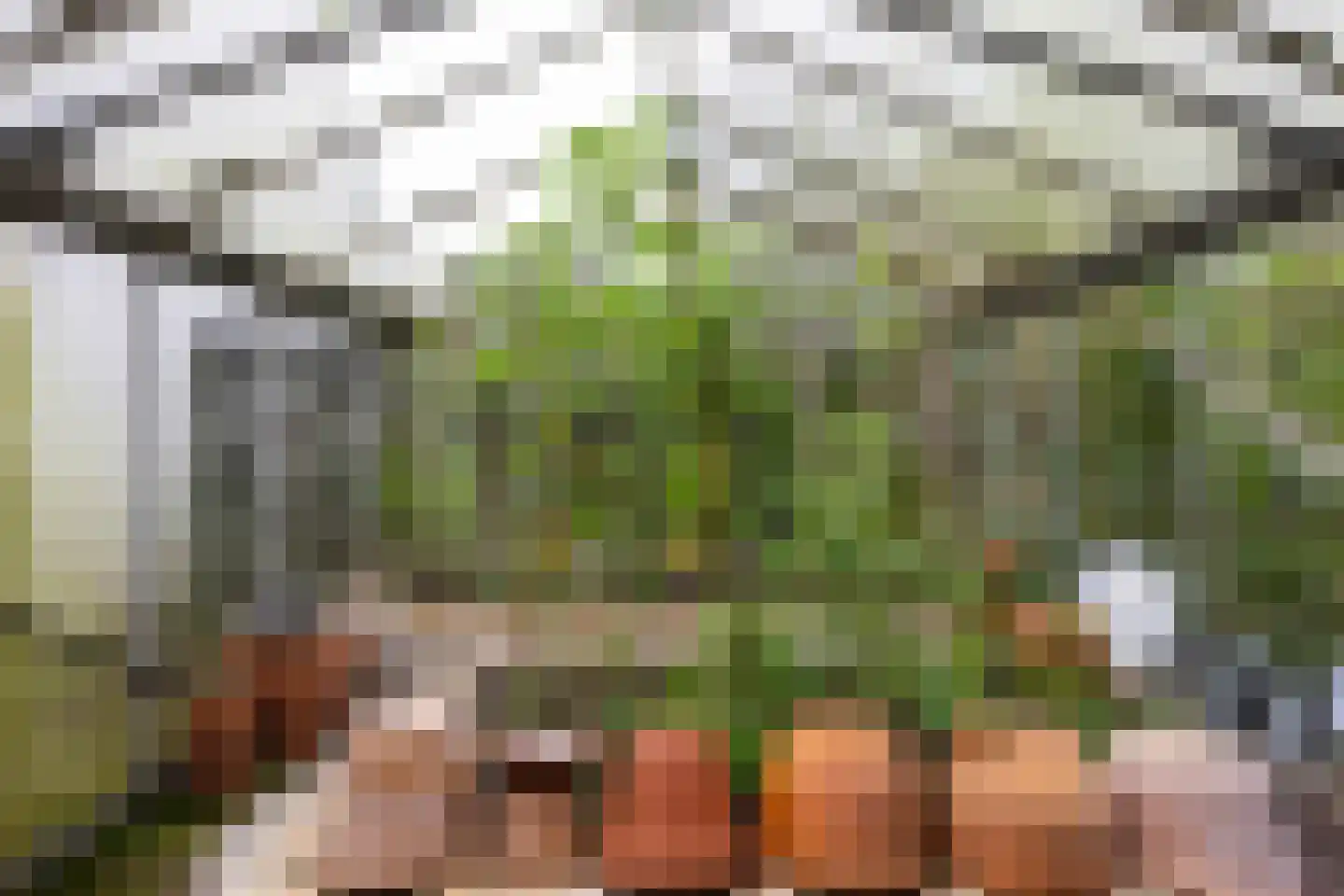 Pierswijk 6 Marum thumbnail 45