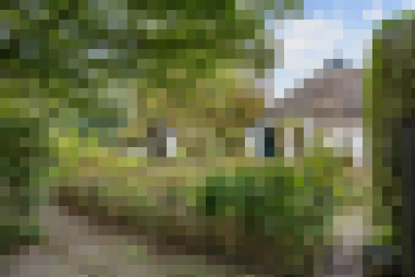 Pierswijk 6 Marum thumbnail 46