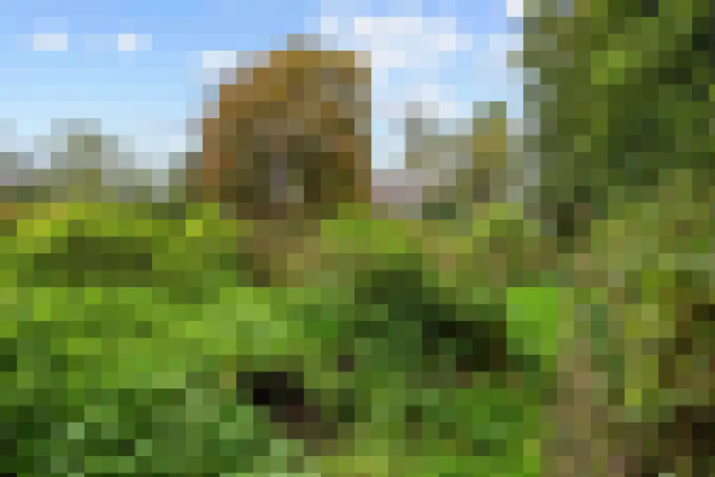 Pierswijk 6 Marum thumbnail 47