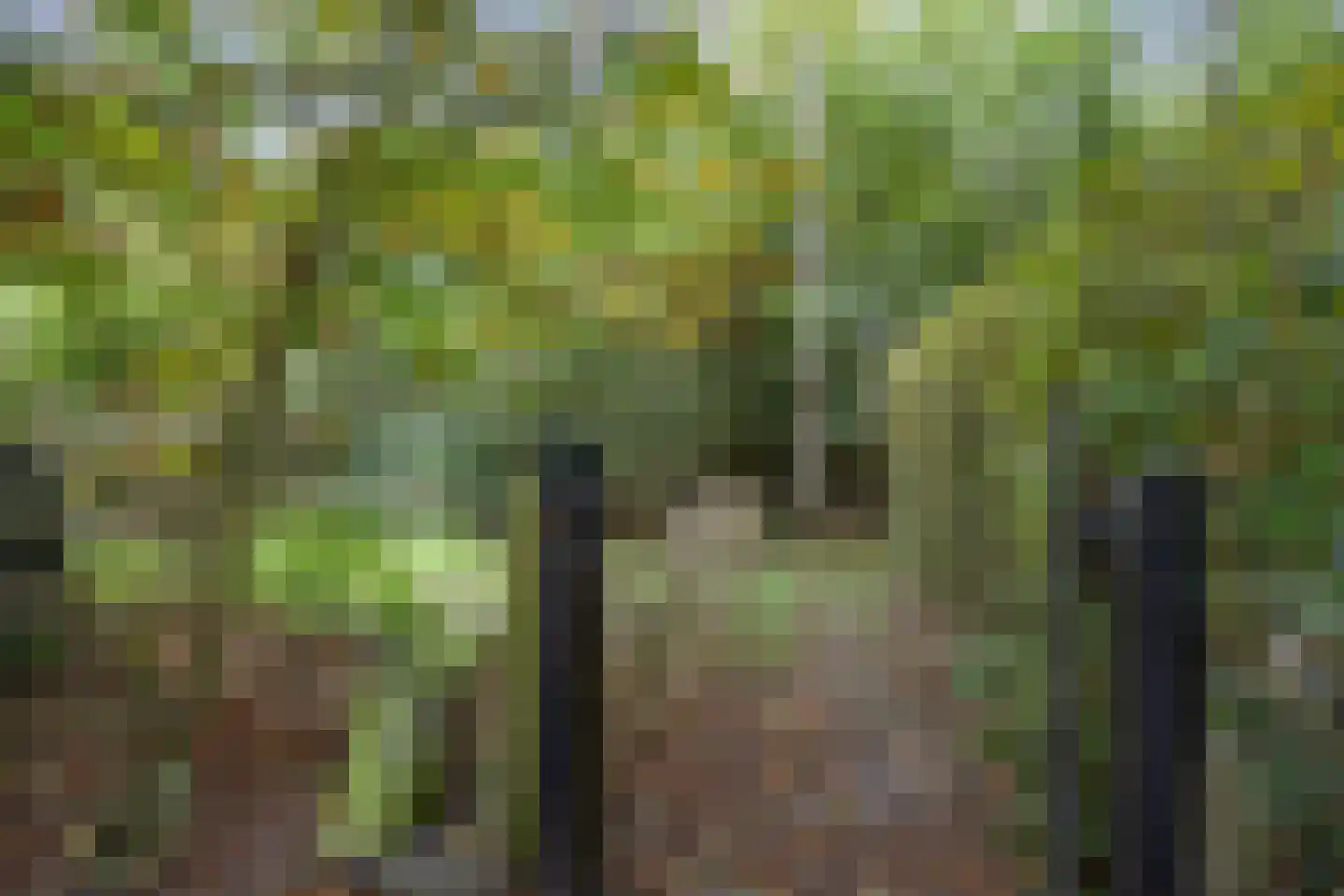 Pierswijk 6 Marum thumbnail 48
