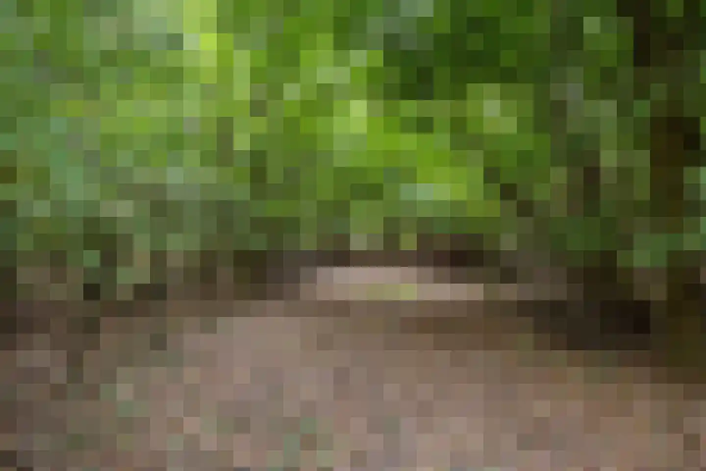 Pierswijk 6 Marum thumbnail 49