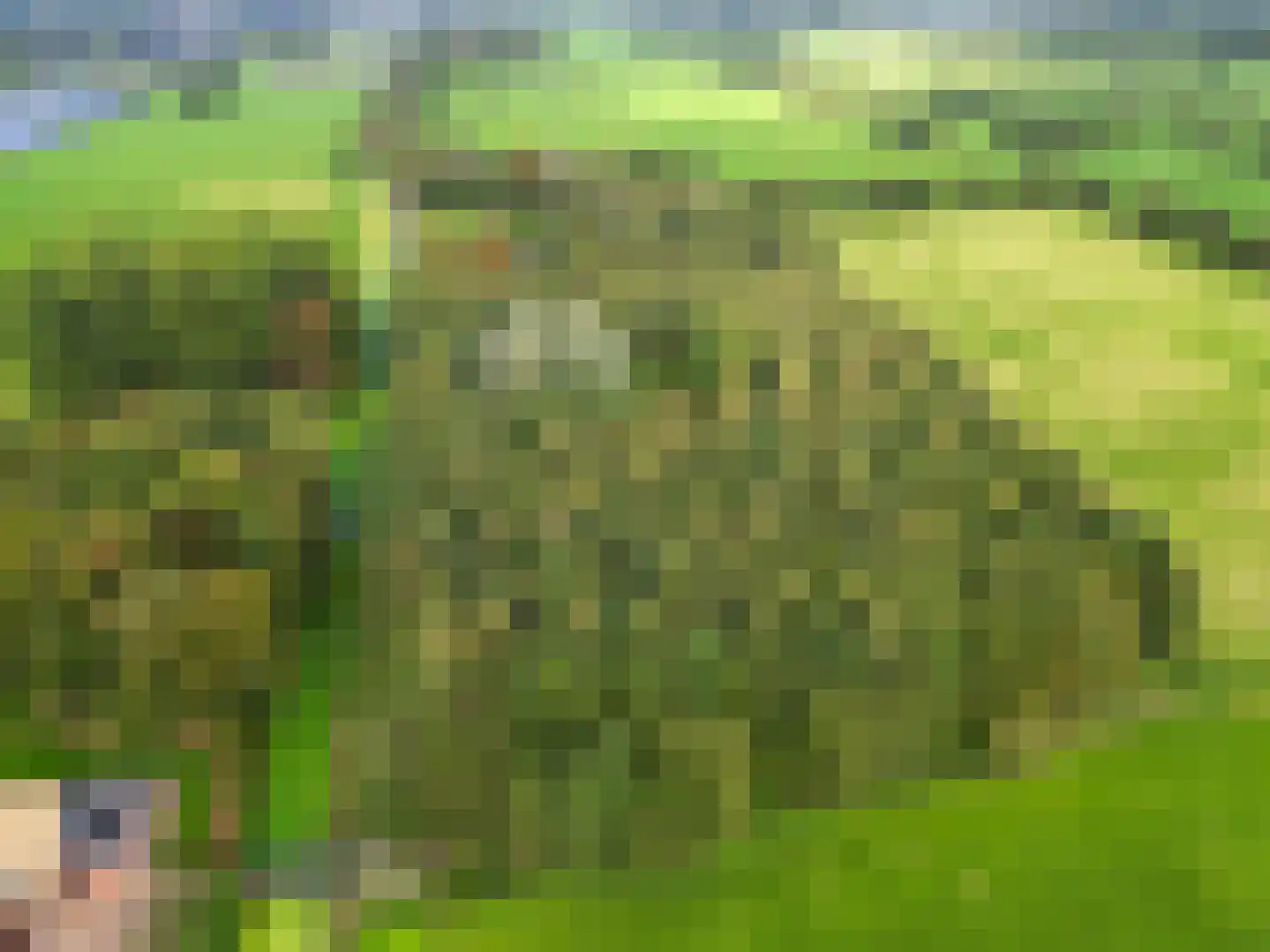 Pierswijk 6 Marum thumbnail 5