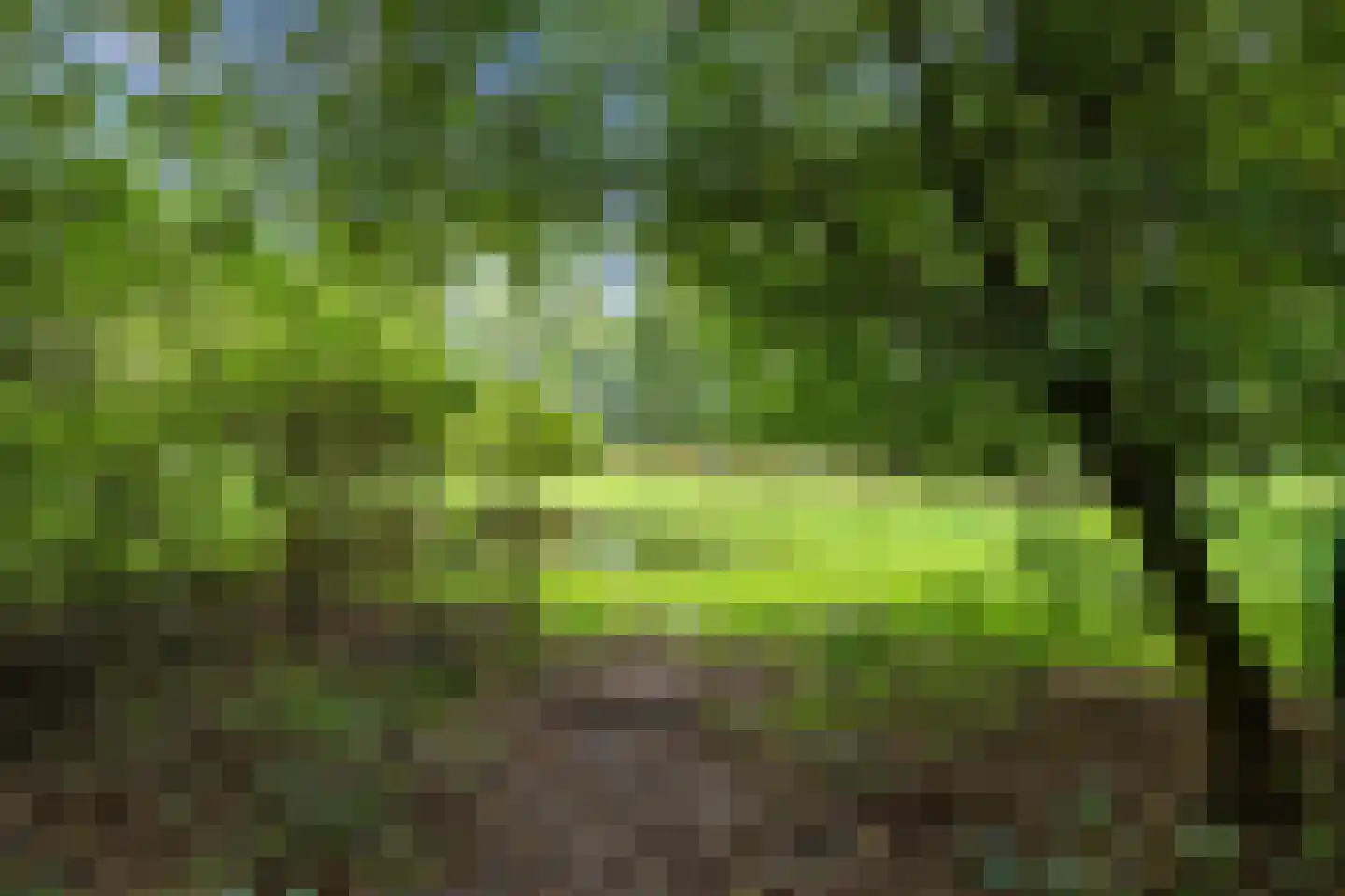 Pierswijk 6 Marum thumbnail 51