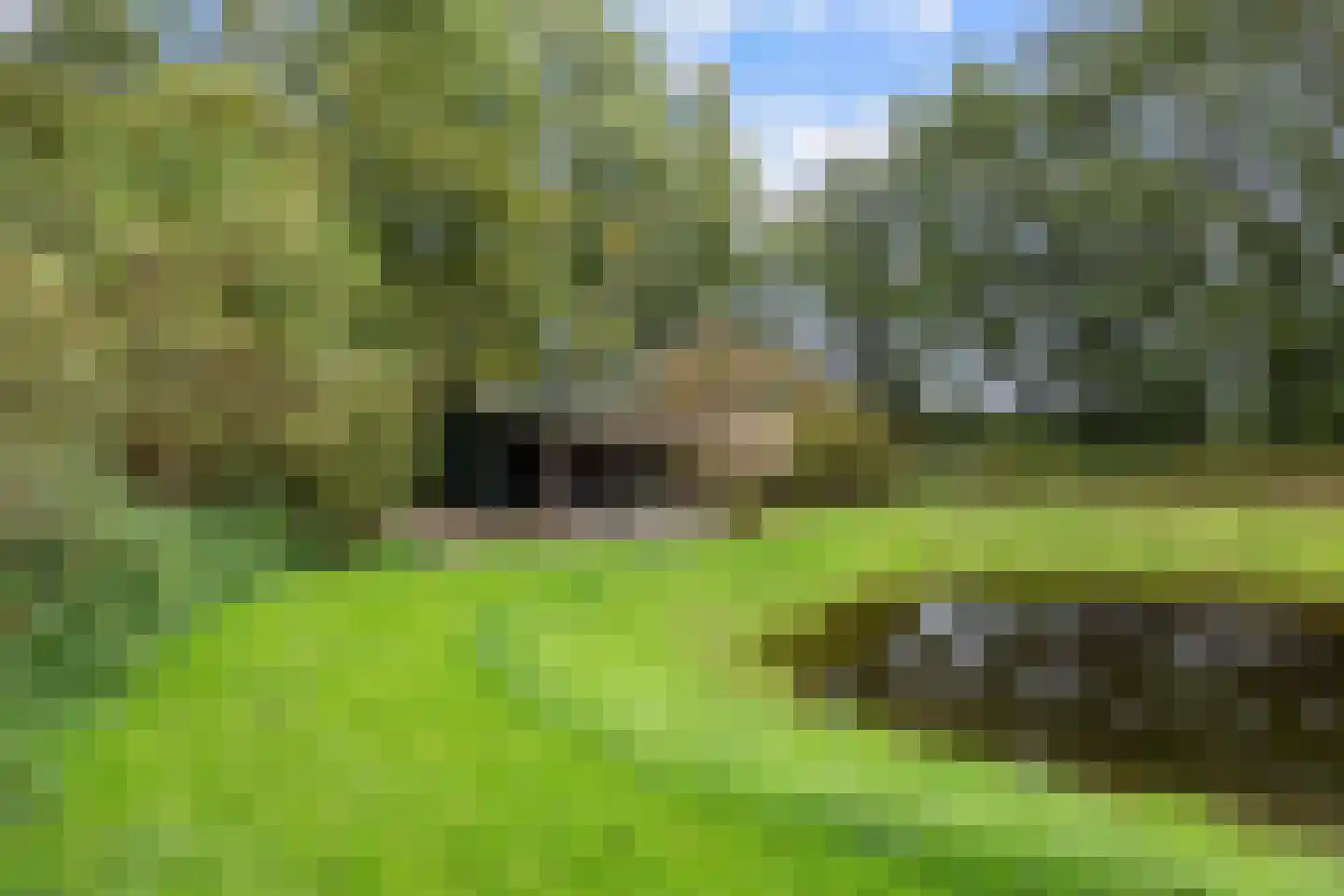 Pierswijk 6 Marum thumbnail 52