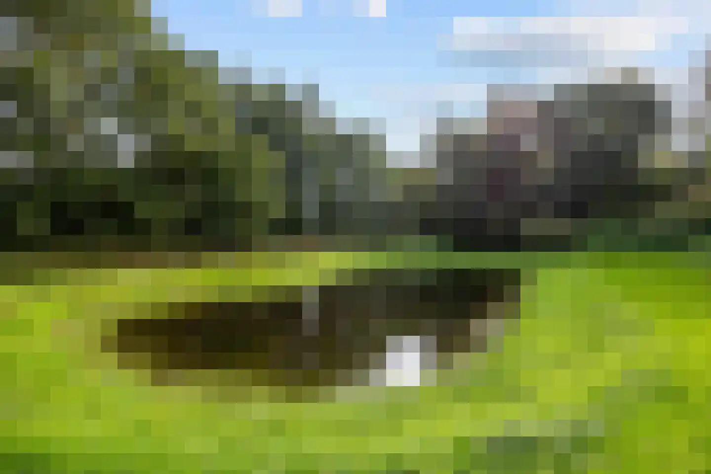 Pierswijk 6 Marum thumbnail 53