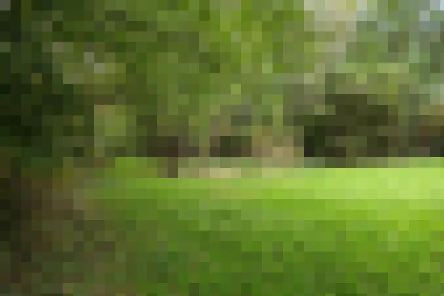 Pierswijk 6 Marum thumbnail 54