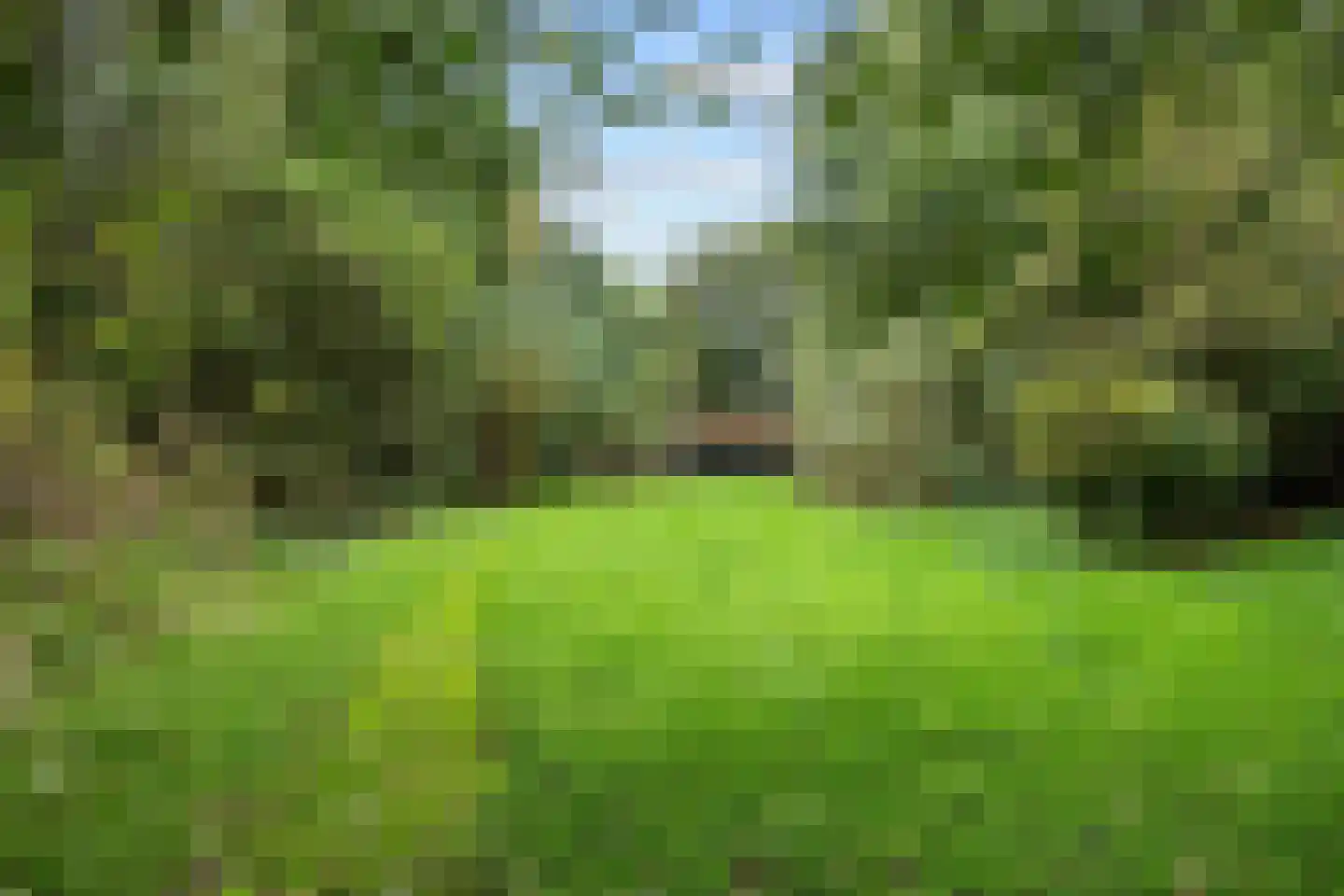 Pierswijk 6 Marum thumbnail 55