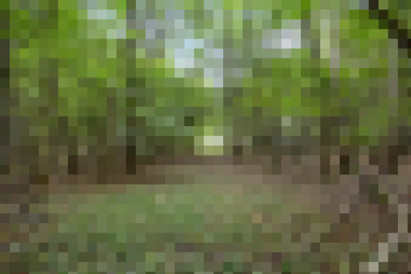Pierswijk 6 Marum thumbnail 56