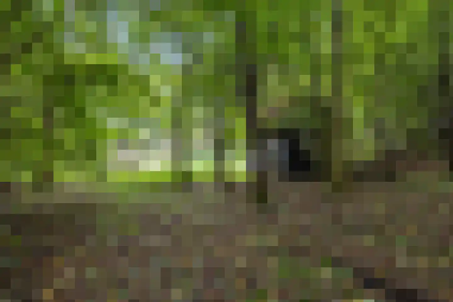 Pierswijk 6 Marum thumbnail 57