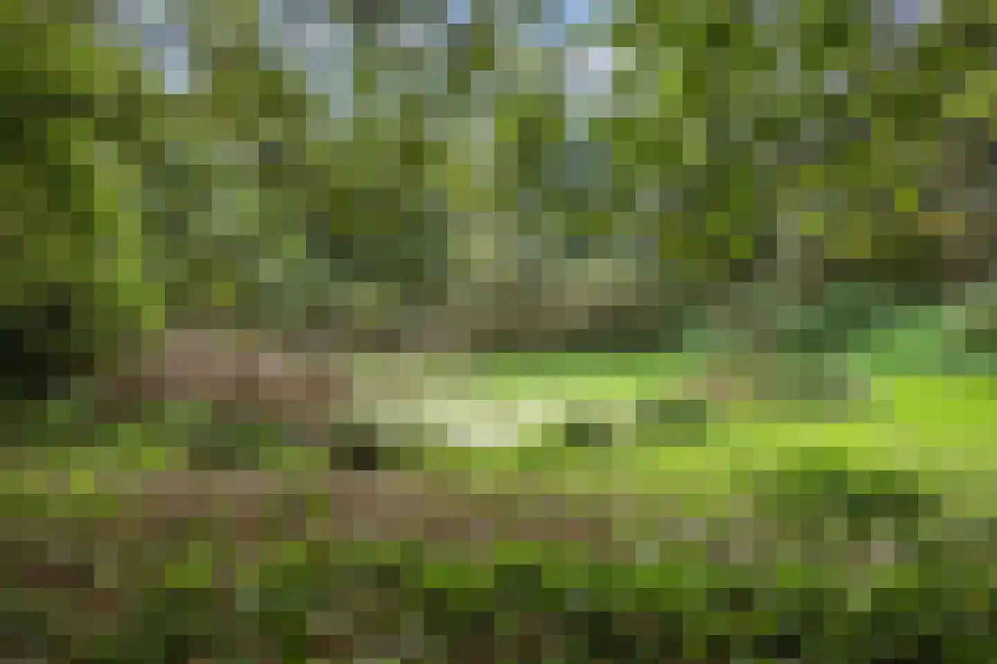 Pierswijk 6 Marum thumbnail 58