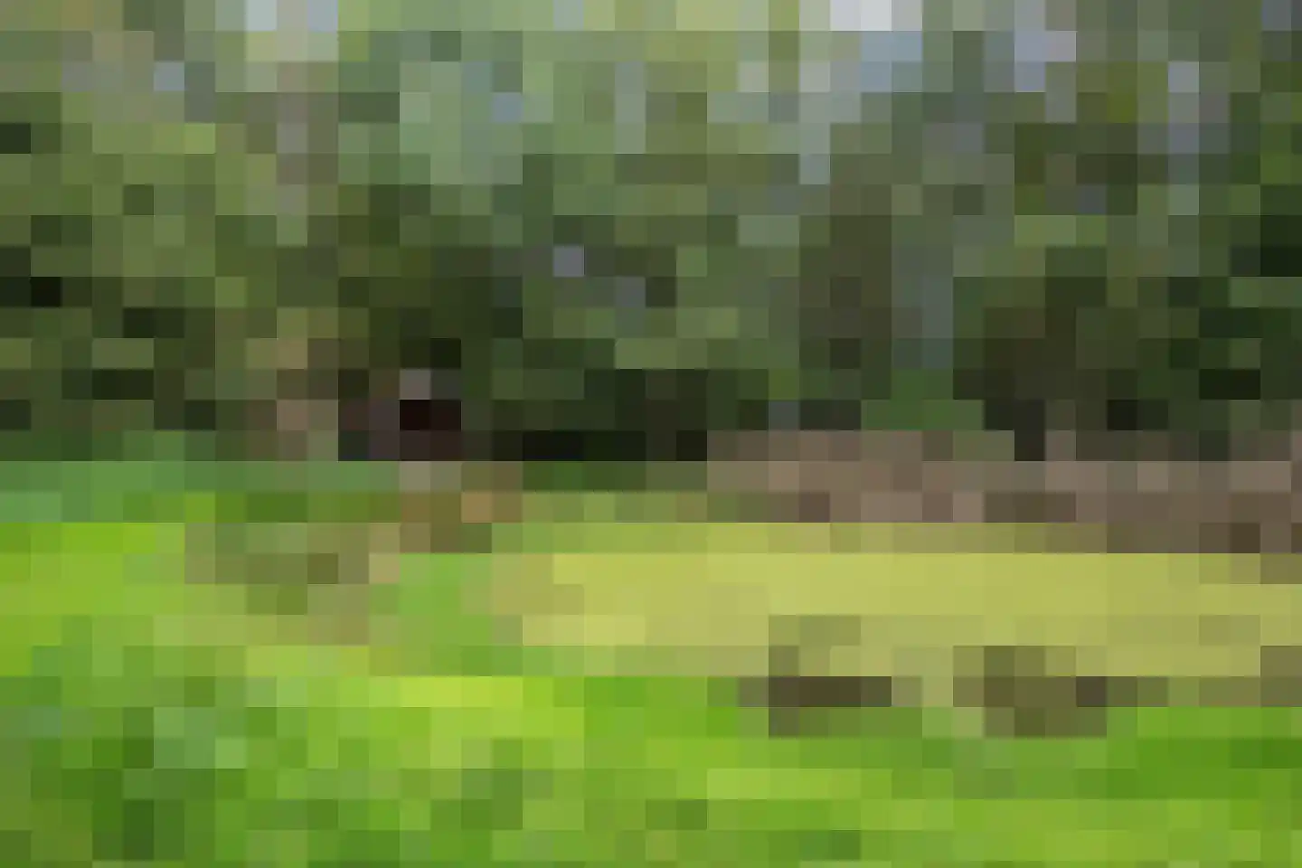 Pierswijk 6 Marum thumbnail 59