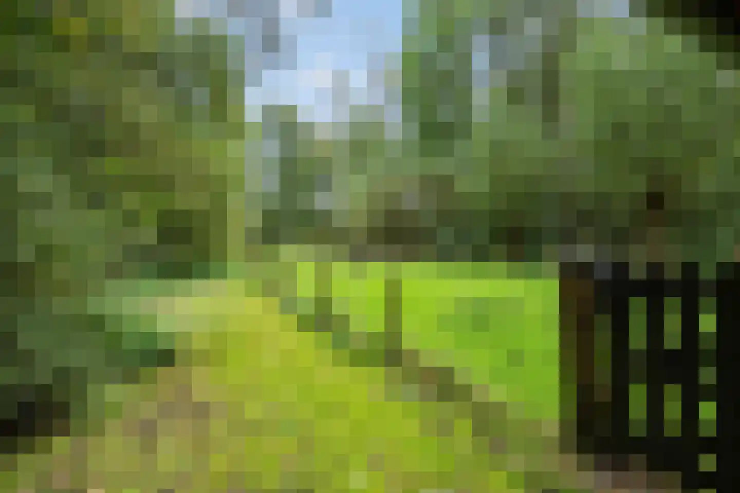 Pierswijk 6 Marum thumbnail 62