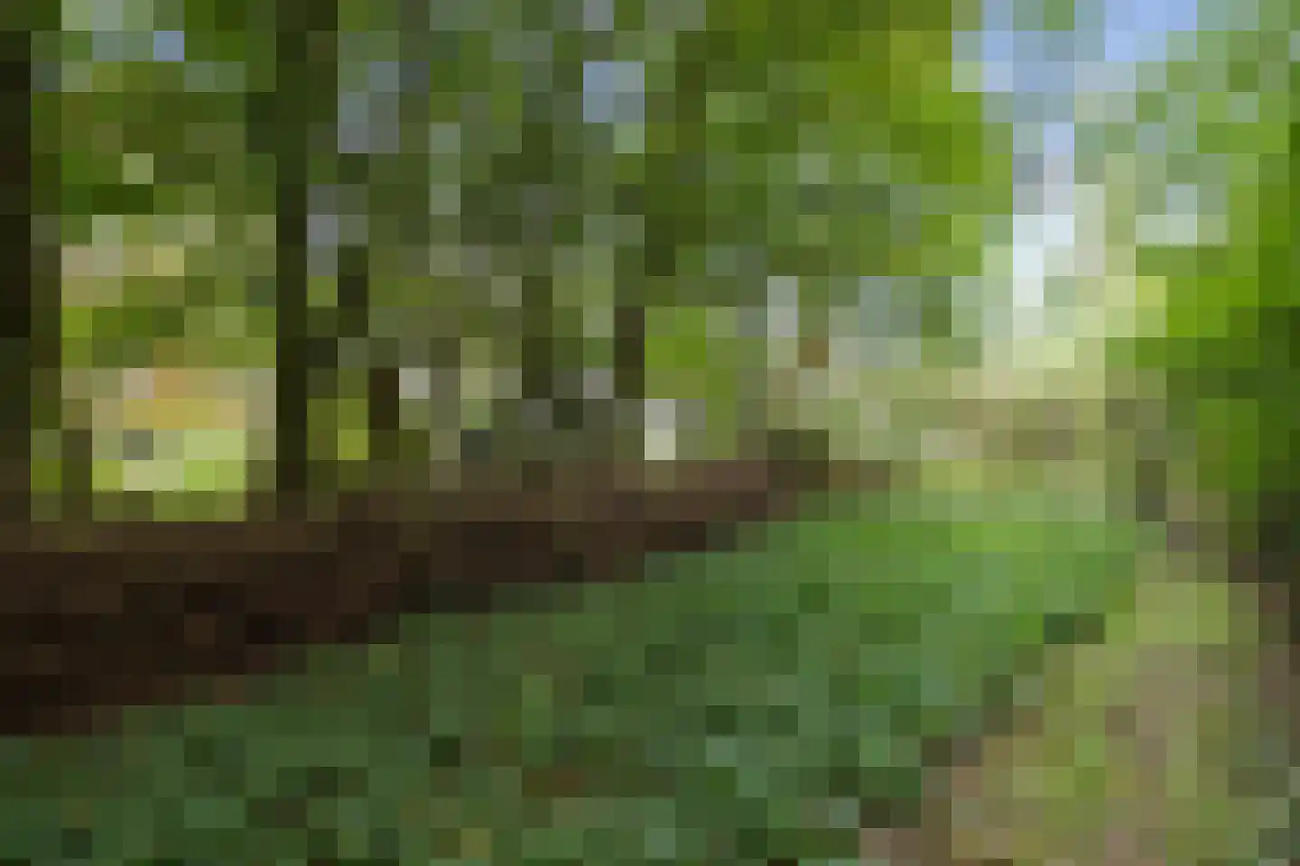 Pierswijk 6 Marum thumbnail 63