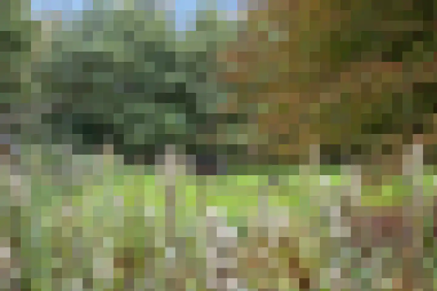 Pierswijk 6 Marum thumbnail 64