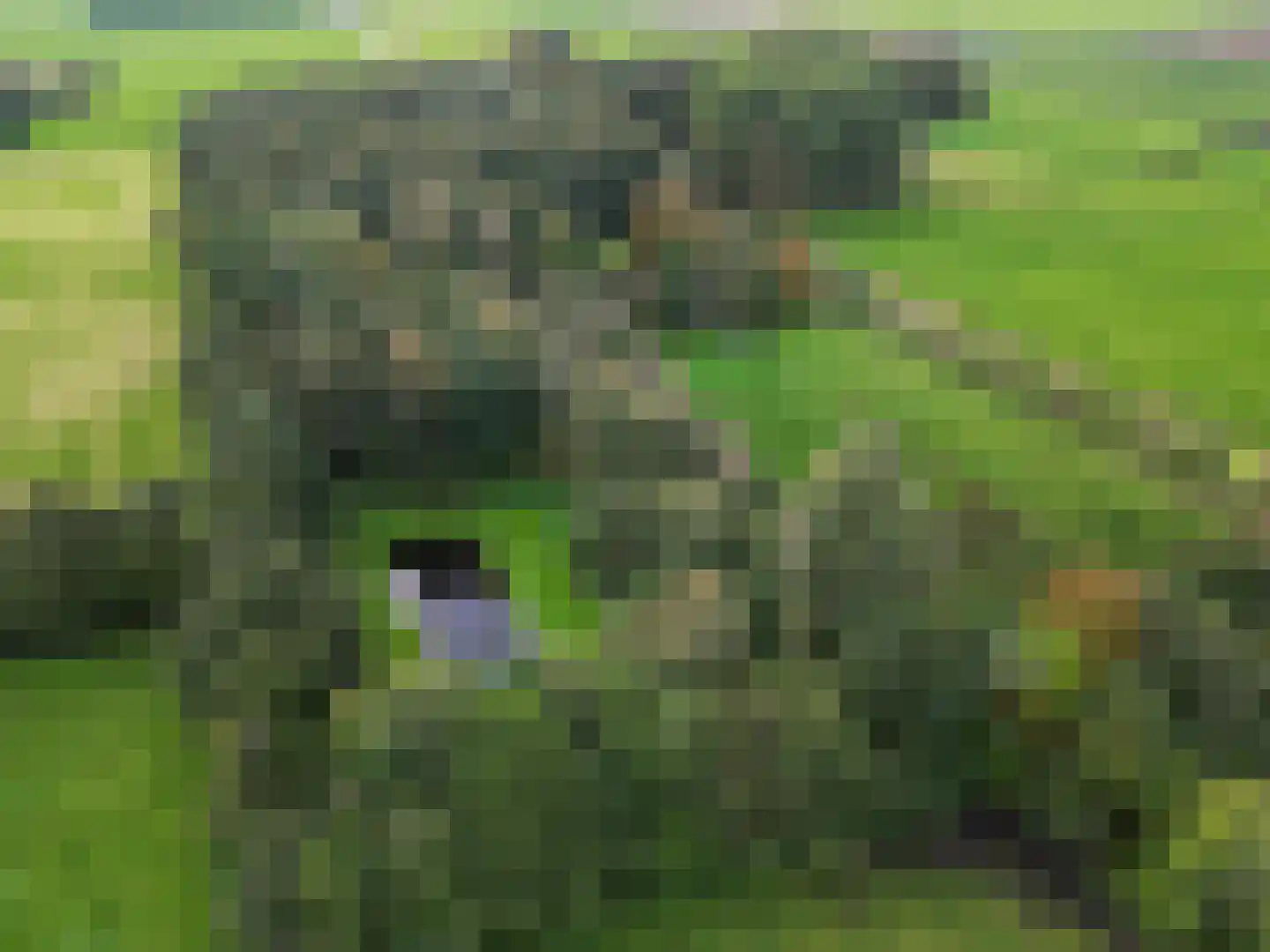 Pierswijk 6 Marum thumbnail 8