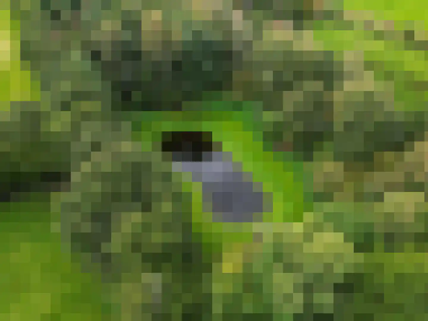 Pierswijk 6 Marum thumbnail 9