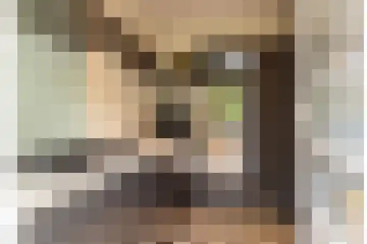 Piet Avontuurstraat 61 Breda thumbnail 18