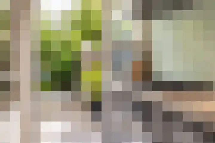 Piet Avontuurstraat 61 Breda thumbnail 19