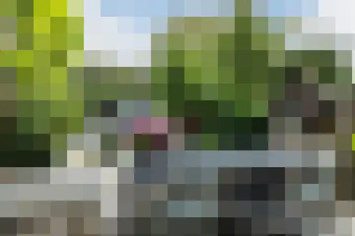 Piet Avontuurstraat 61 Breda thumbnail 20