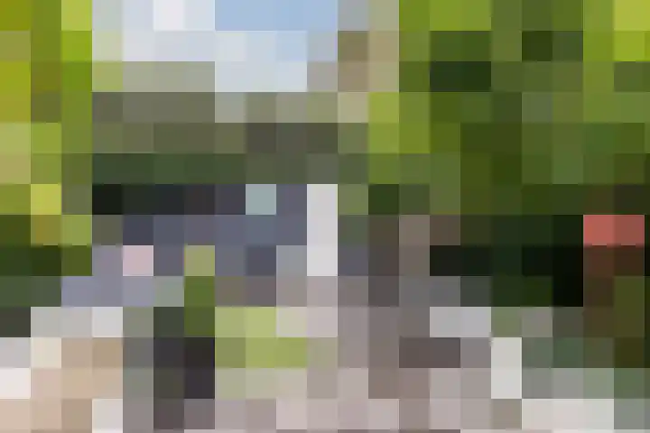 Piet Avontuurstraat 61 Breda thumbnail 21