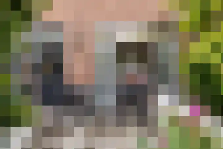 Piet Avontuurstraat 61 Breda thumbnail 23