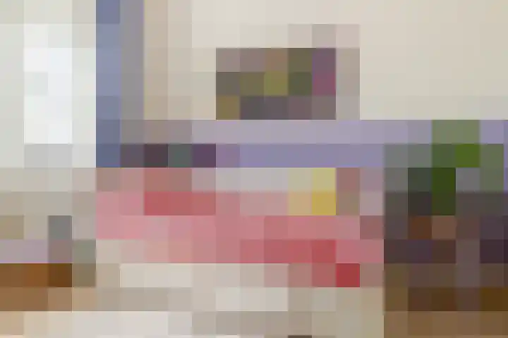 Piet Avontuurstraat 61 Breda thumbnail 28