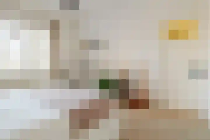 Piet Avontuurstraat 61 Breda thumbnail 32
