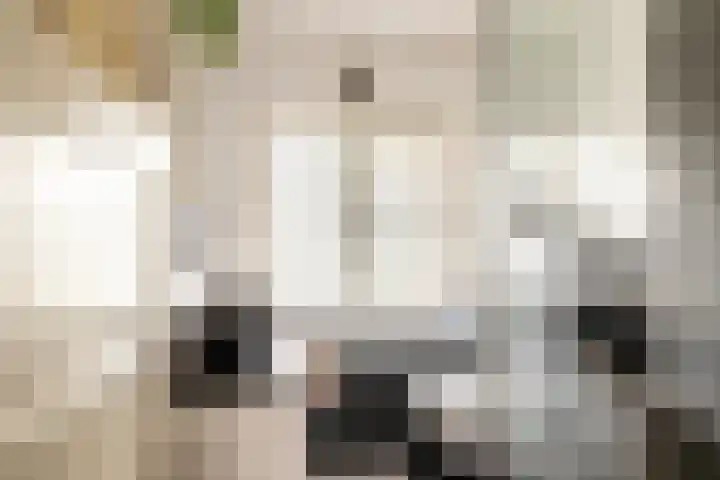 Piet Avontuurstraat 61 Breda thumbnail 36