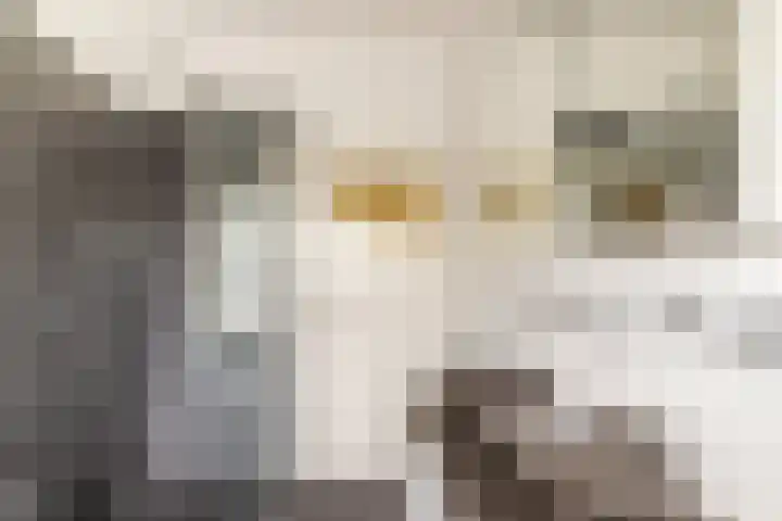 Piet Avontuurstraat 61 Breda thumbnail 37