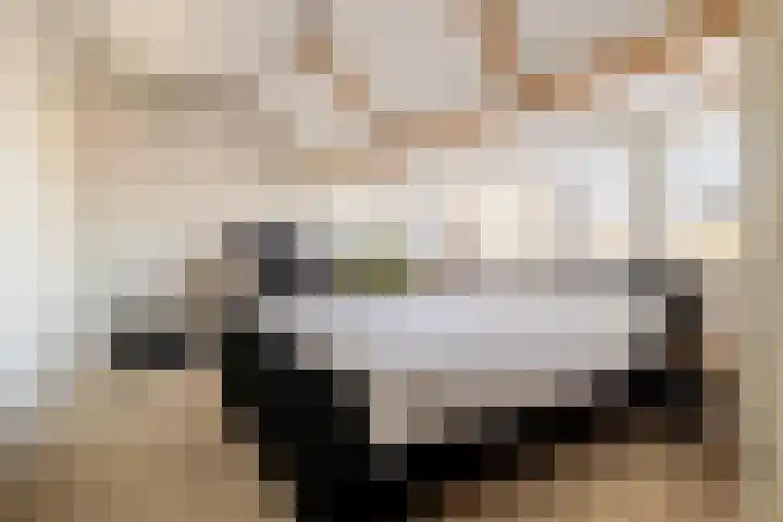 Piet Avontuurstraat 61 Breda thumbnail 41
