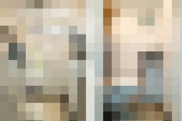 Piet Avontuurstraat 61 Breda thumbnail 8