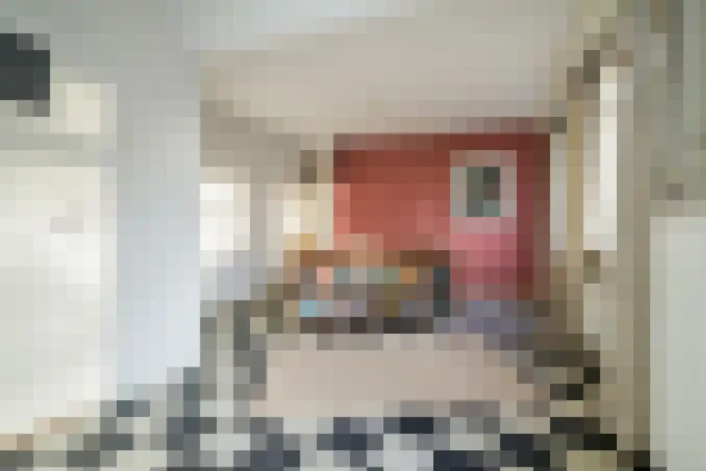 Piet Avontuurstraat 86 Breda thumbnail 18
