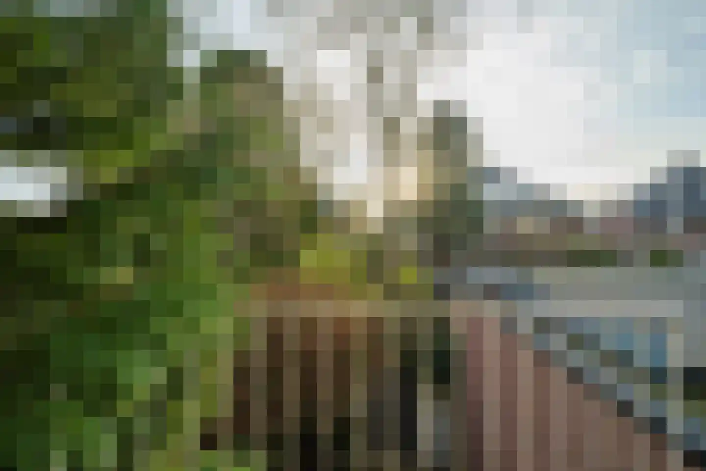Piet Avontuurstraat 86 Breda thumbnail 21