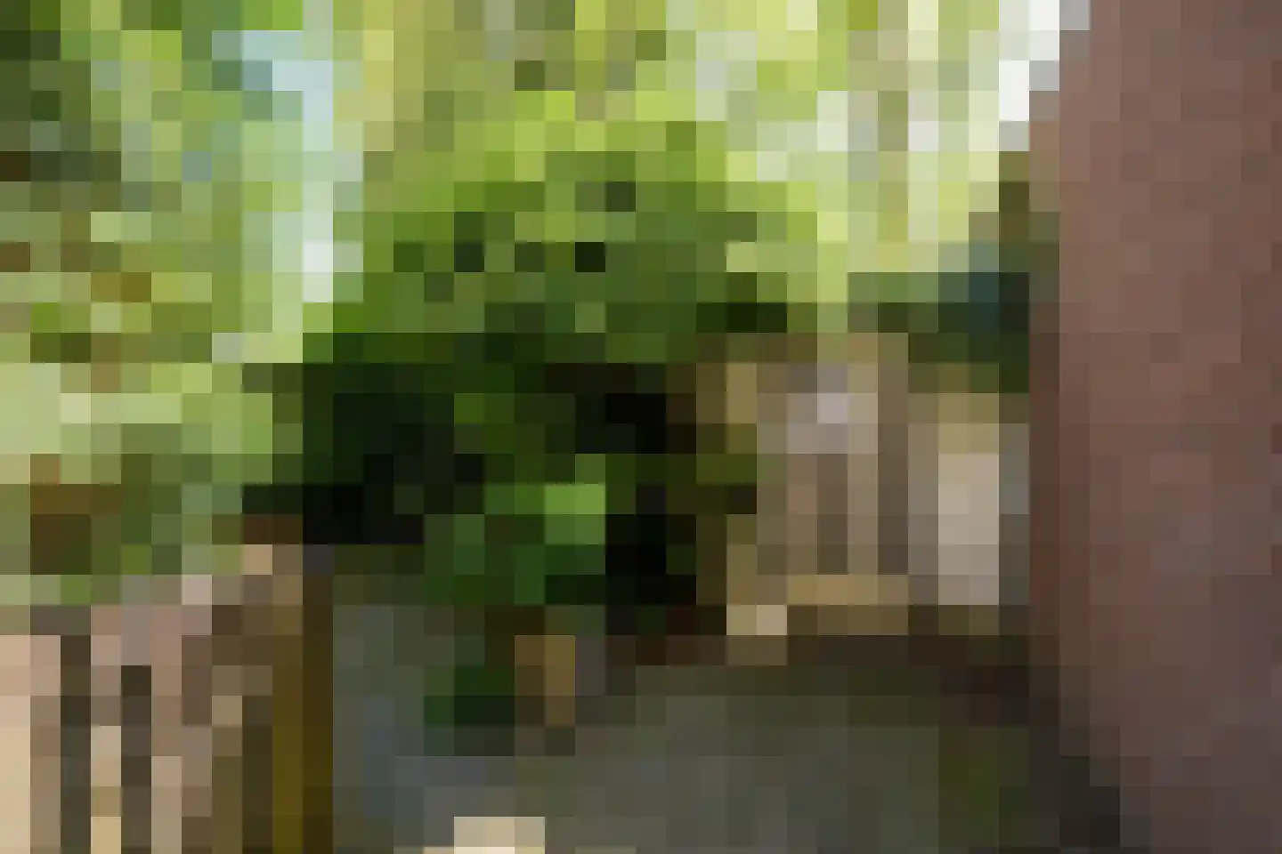 Piet Avontuurstraat 86 Breda thumbnail 32