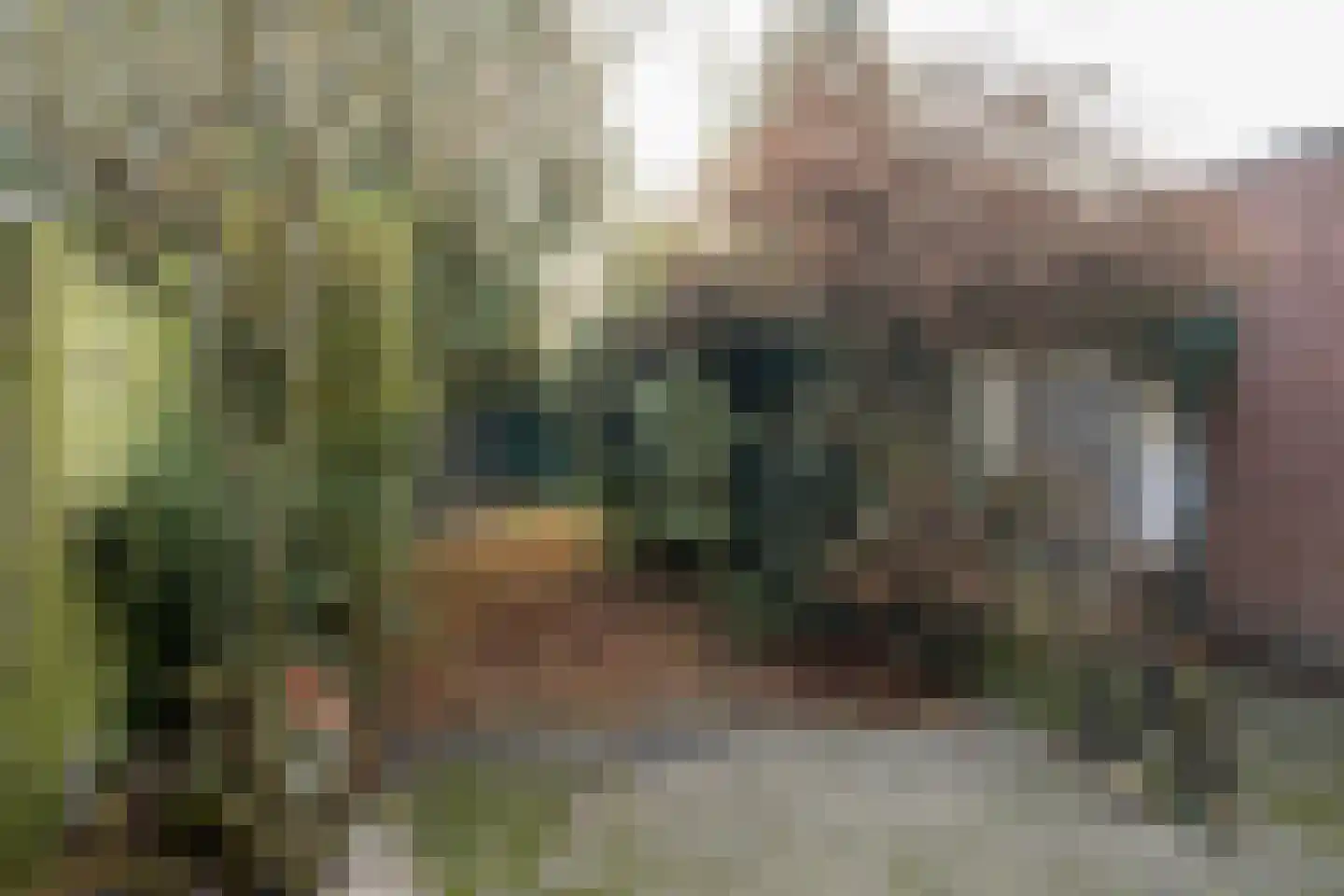 Piet Avontuurstraat 86 Breda thumbnail 33