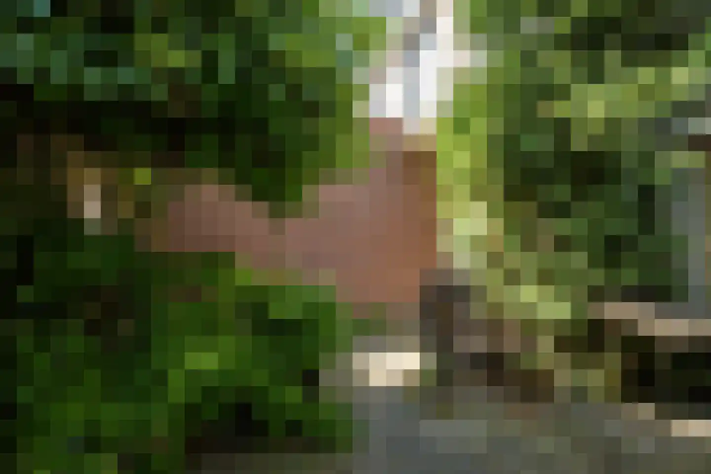 Piet Avontuurstraat 86 Breda thumbnail 33