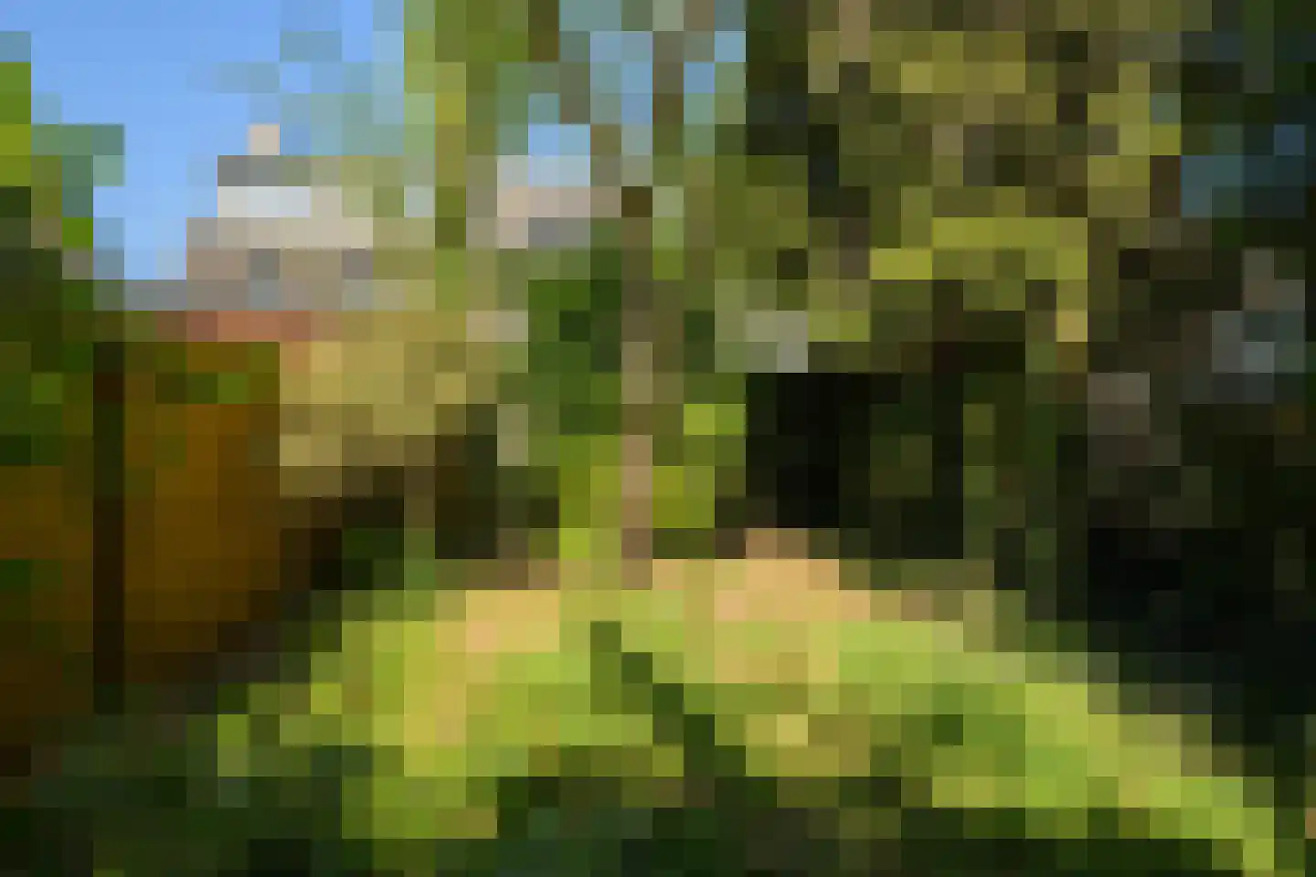 Piet Avontuurstraat 86 Breda thumbnail 34