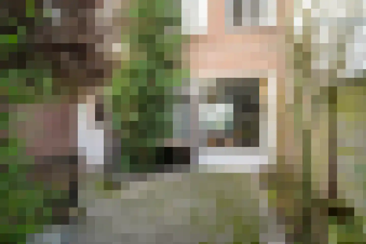 Piet Avontuurstraat 86 Breda thumbnail 34