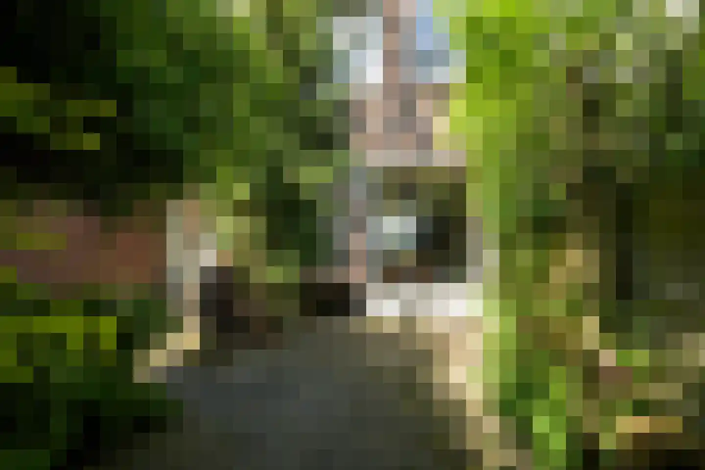 Piet Avontuurstraat 86 Breda thumbnail 35