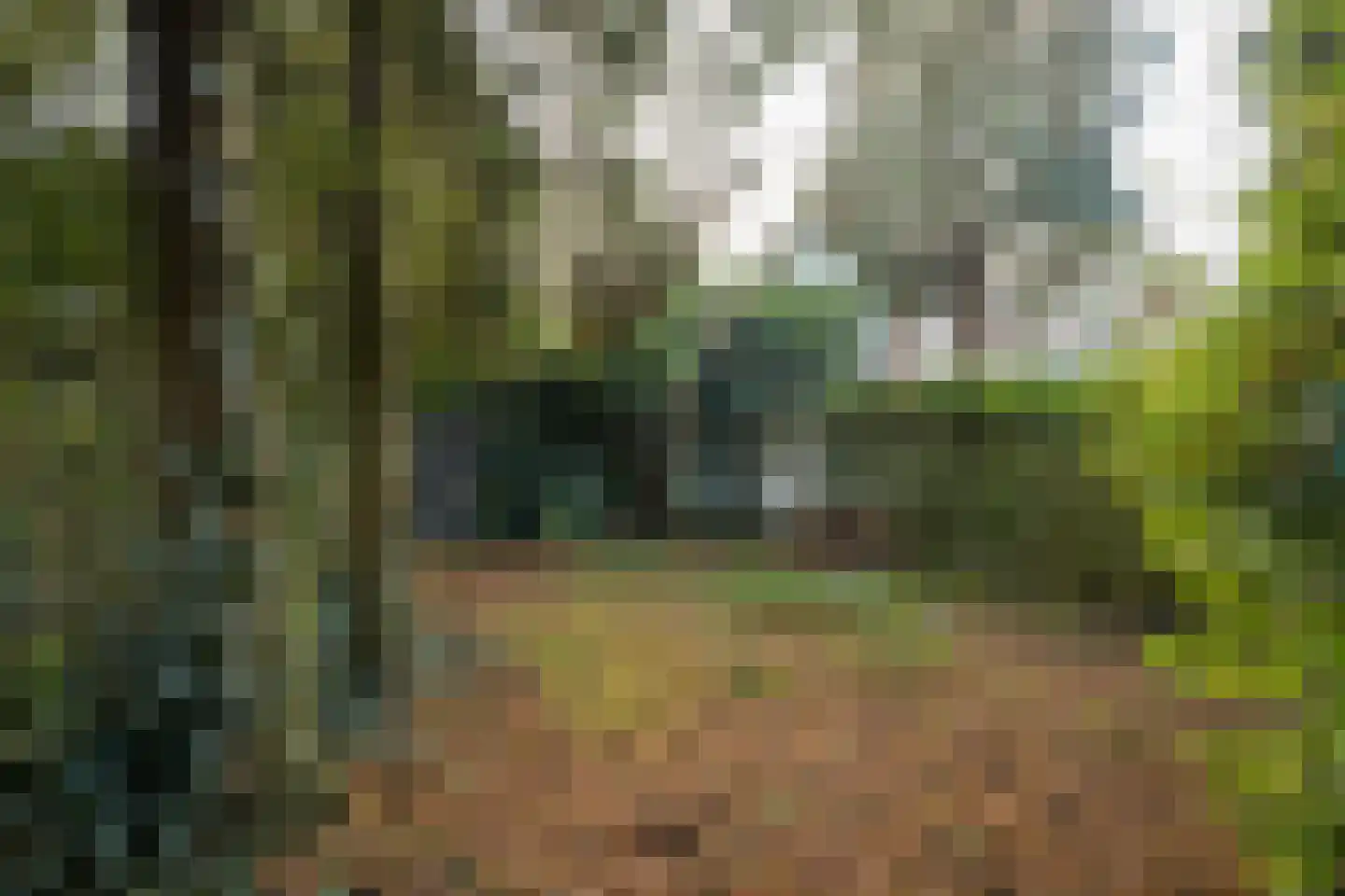 Piet Avontuurstraat 86 Breda thumbnail 35