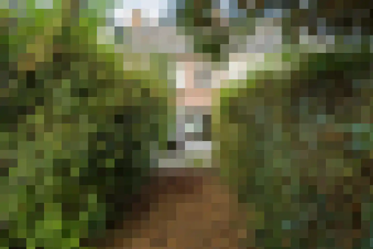 Piet Avontuurstraat 86 Breda thumbnail 36